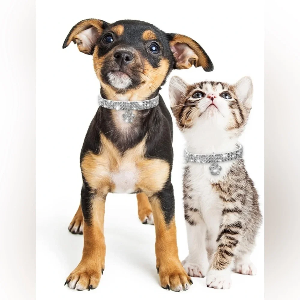 Gorgeous Bling Dog Cat Collar